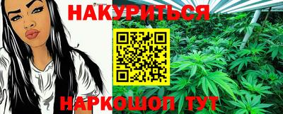 сатива Гатчина