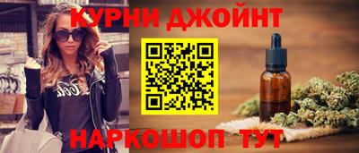 сатива Гатчина
