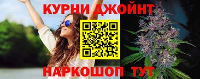 стафф Гай