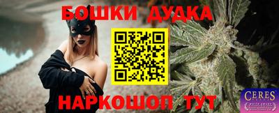стафф Гай