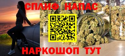 сатива Гатчина