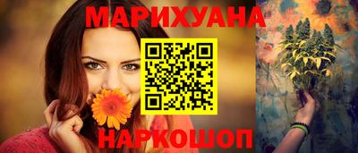 сатива Гатчина