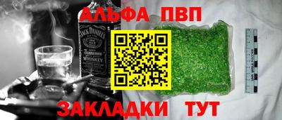 стафф Гай