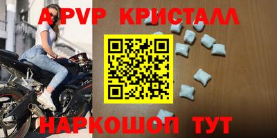 стафф Гай