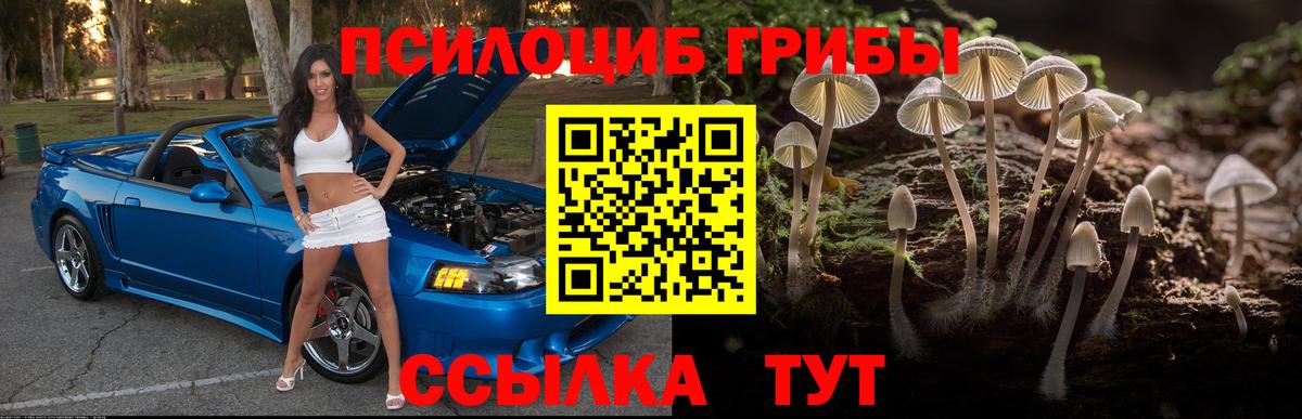 Галлюциногенные грибы MAGIC MUSHROOMS Комсомольск-на-Амуре