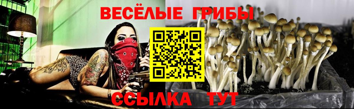 Галлюциногенные грибы ЛСД  Комсомольск-на-Амуре 