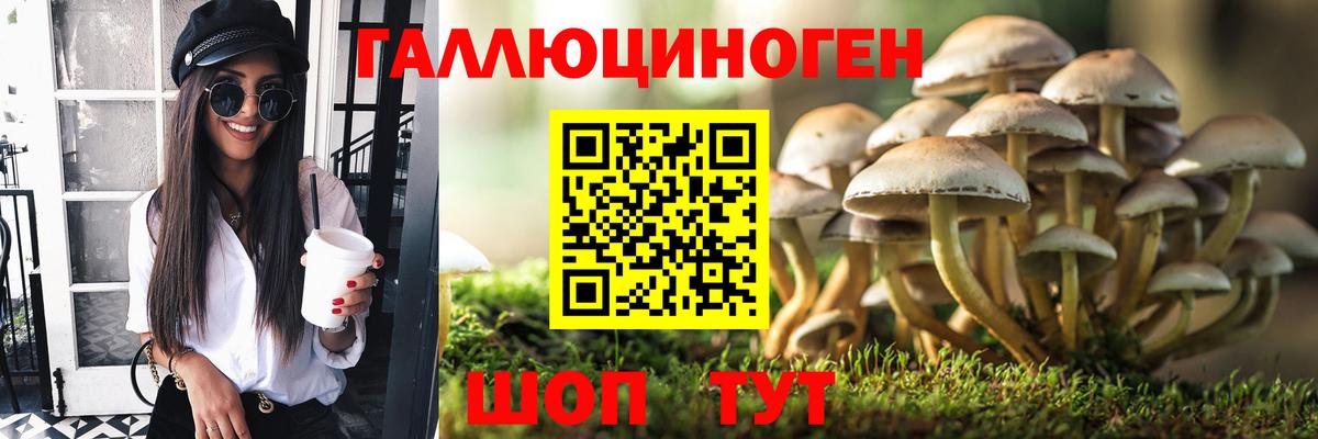 Псилоцибиновые грибы ЛСД  Вход с VPN  Комсомольск-на-Амуре  Псилоцибиновые грибы мухоморы 